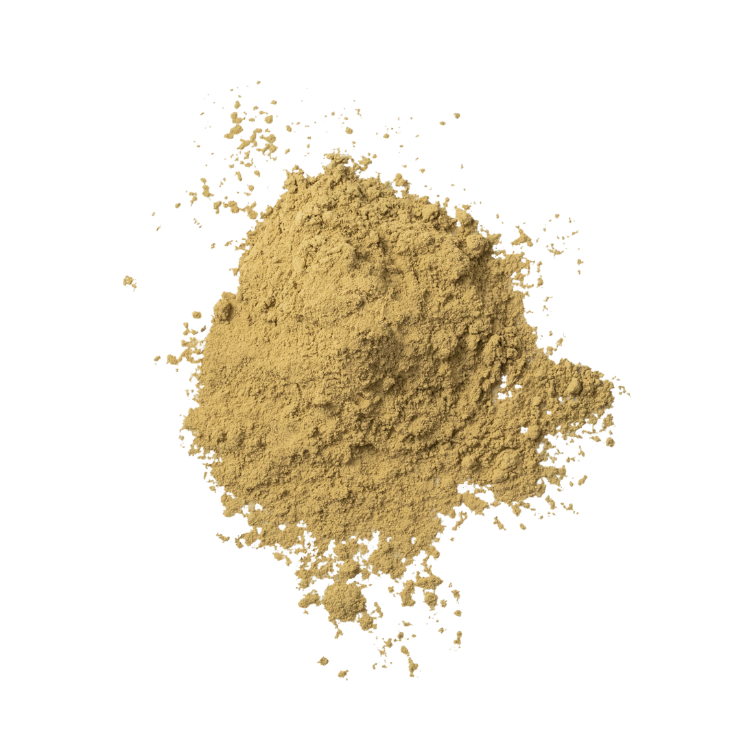 NEW | HOJICHA POWDER TWILIGHT SMOKE RHAPSODY