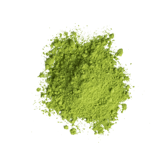 NEW | MATCHA SILENT ECHO REVERIE