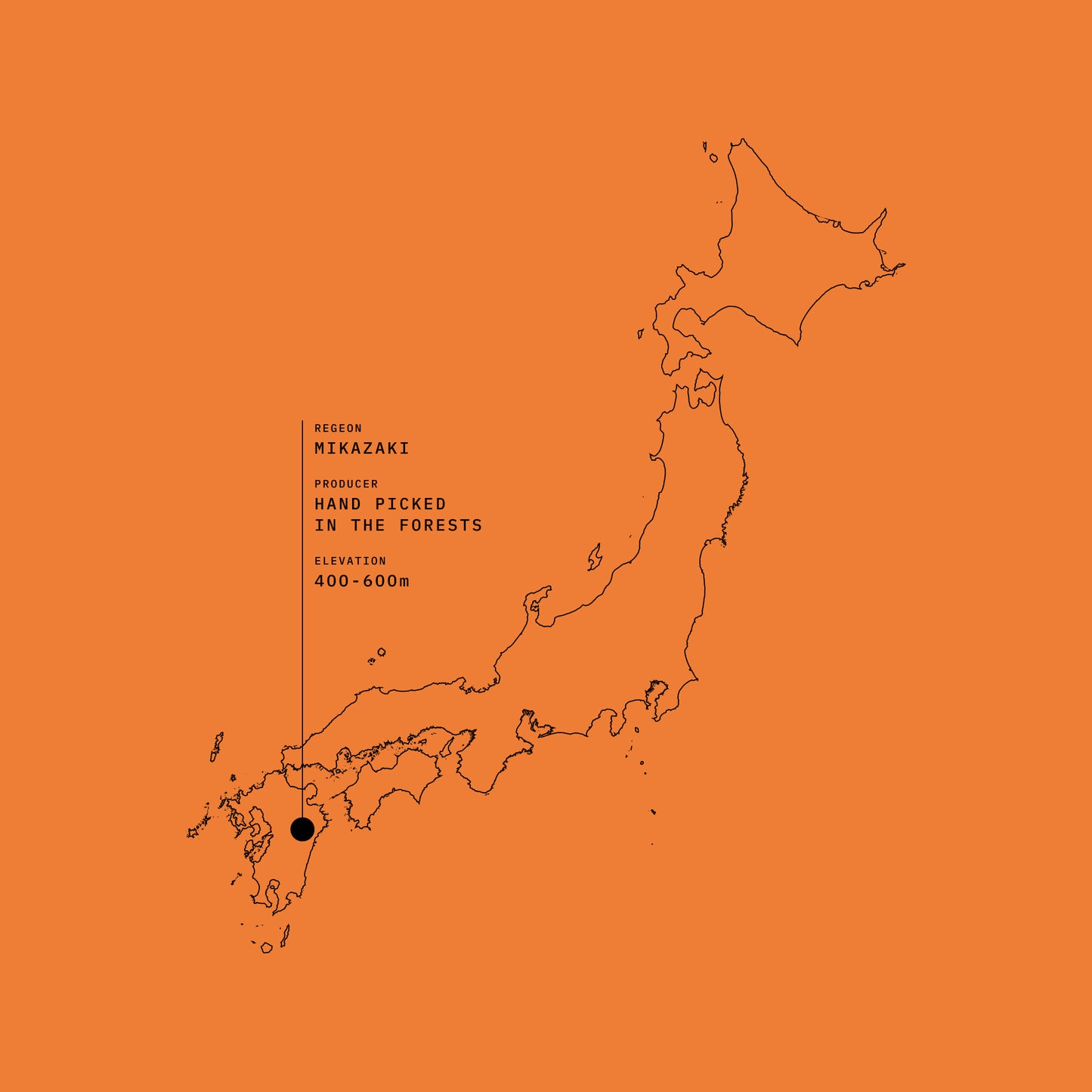 WILD TEA WHISPER QUIET OBLIVION