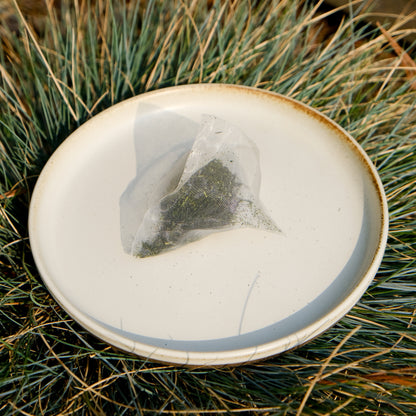 TEA-SY SENCHA TEA BAG