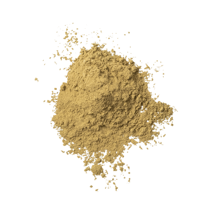 NEW | HOJICHA POWDER TWILIGHT SMOKE RHAPSODY