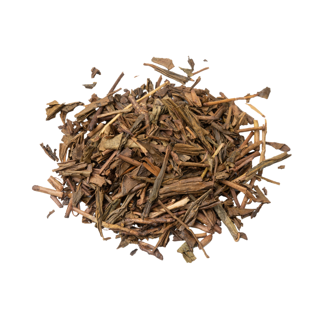 HOJICHA EVASIVE AMBER PARADISE