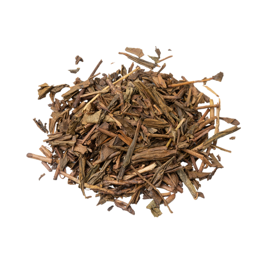 HOJICHA EVASIVE AMBER PARADISE