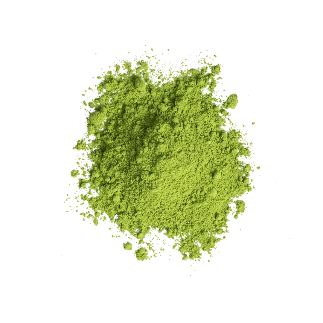 NEW | MATCHA SILENT ECHO REVERIE
