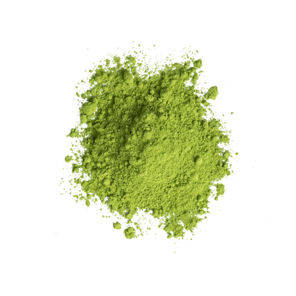 NEW | MATCHA SILENT ECHO REVERIE