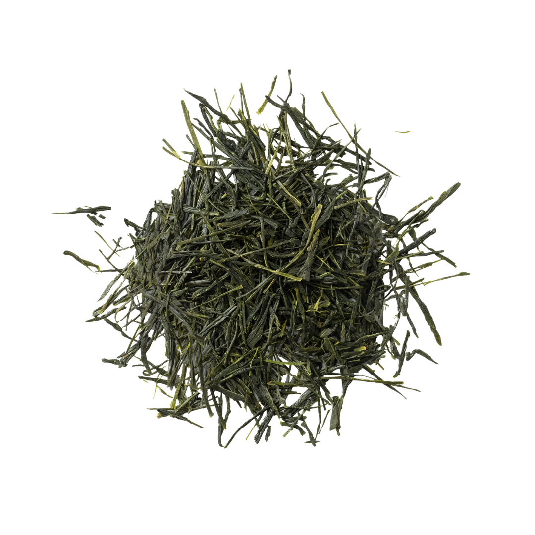 SENCHA SWEET GRASS CABARET